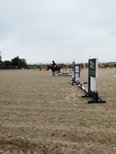 Centro Hípico Prezanes - hipica in Santa Cruz de Bezana