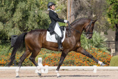 Centro Ecuestre Kimigu - hipica in Castrillo del Val