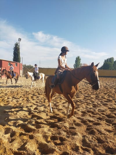 Club Hípico La Hijosa - hipica in Cabezón de Pisuerga