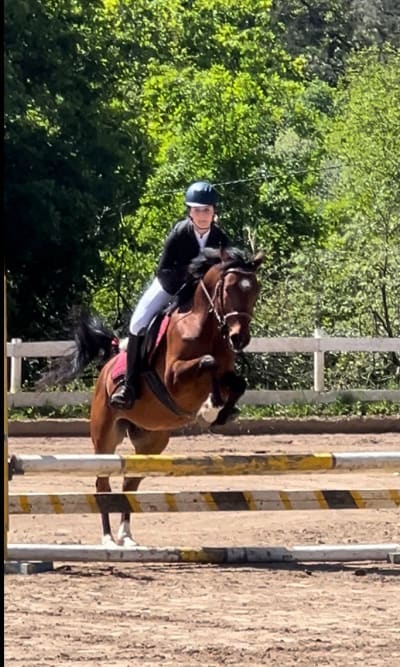 Club Hípico Castillo de Butrón - hipica in Gatika