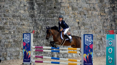 Club Hípico Ciudad de Vitoria - hipica 