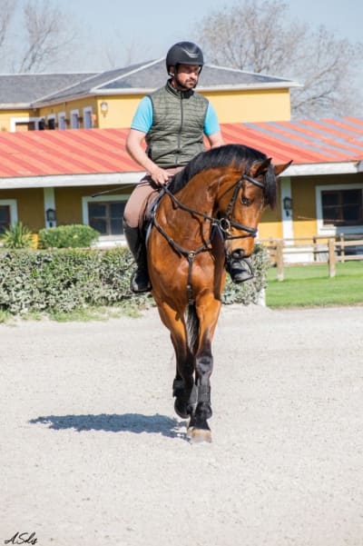 Club Hipico Yabusan - hipica in Alcorcón