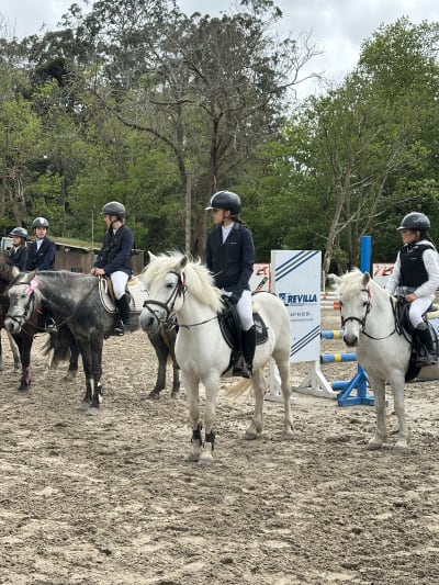 Equus Jaime Suarez - hipica in Guarnizo