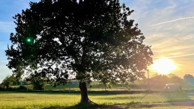 Coaching con caballos en Gijón - hipica in Gijón