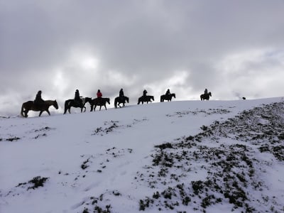 Cabalgandosueños - hipica in Bueres