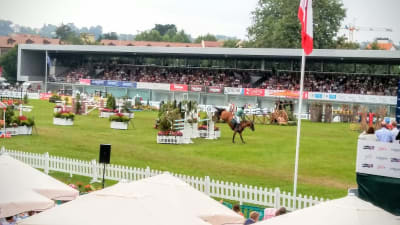 Las Mestas Sports Complex - futbol_americano in Gijón