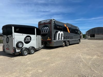 RM Horses - hipica in Gijón