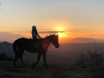 Yeguada vajamar - hipica 