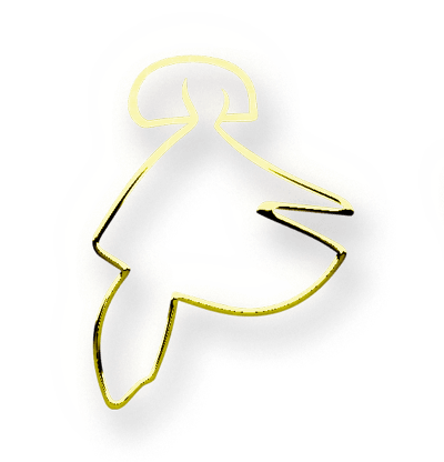 Yeguada La Montaraza - hipica in Villalba de Duero