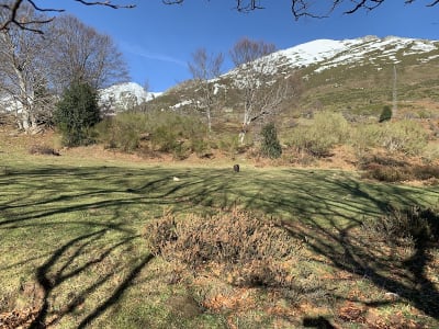 Rutas A Caballo Abiada - hipica in Abiada