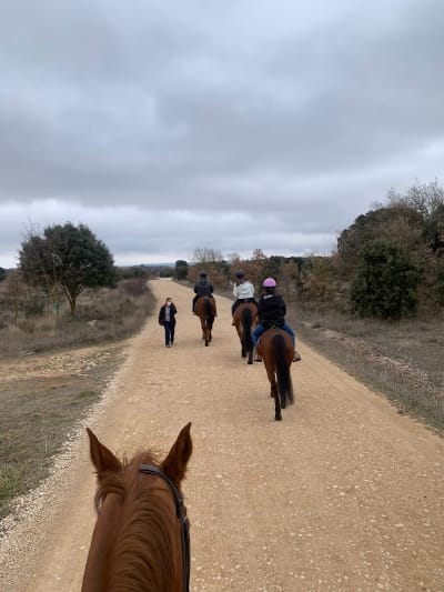 Mil encinas Centro de terapias asistidas con animales - hipica in Carcedo de Burgos