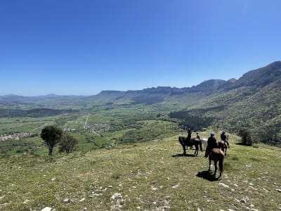 Trankoz Tranko trec y turismo ecuestre - hipica in Castrobarto