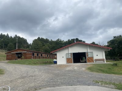 Club Hípico Okendo - fútbol in Oquendo