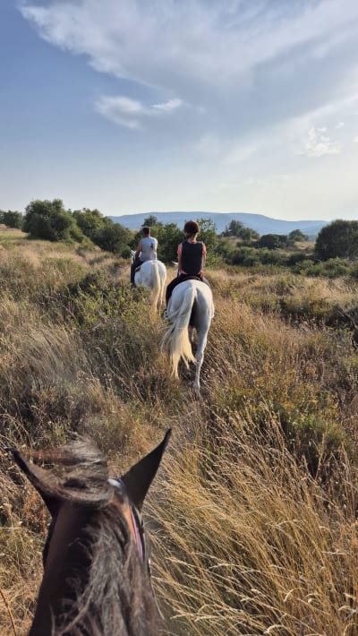 Hípica Eribe - hipica in Gopegi