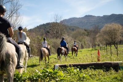 Yeguada Okondo - hipica in Oquendo