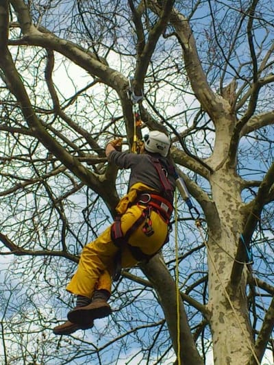 Botánico del CIFP La Granja - hipica 
