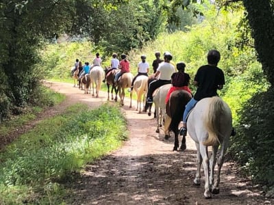 Horseback riding La Robleda - hipica in Santillana del Mar