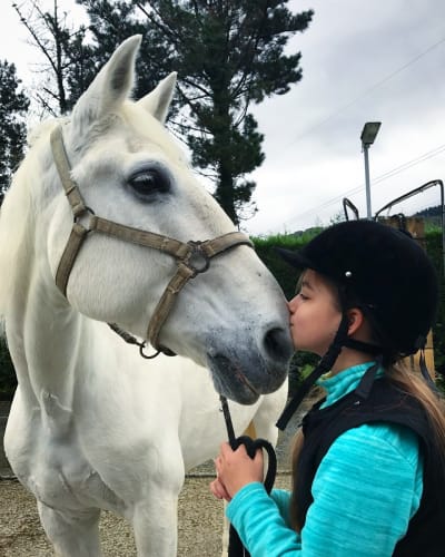 Listorreta Hipika - hipica in Errenteria