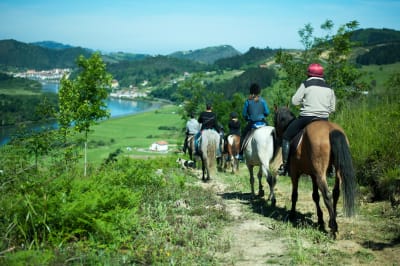 Lar Zaldiak - hipica in Usurbil