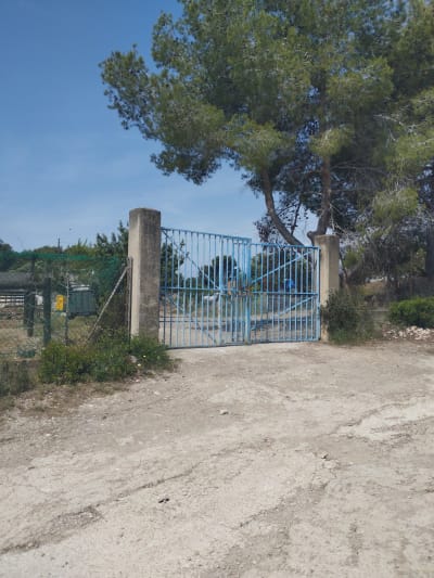 Vila Pony Club EB Competition team - hipica in Cubelles