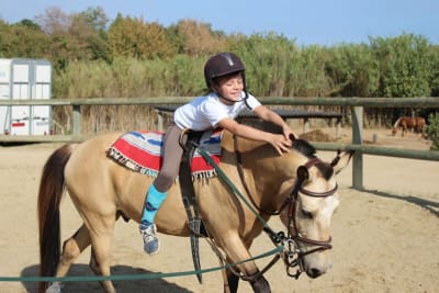 Escuela de Equitación Connemara Pony Club - hipica in Sant Mori