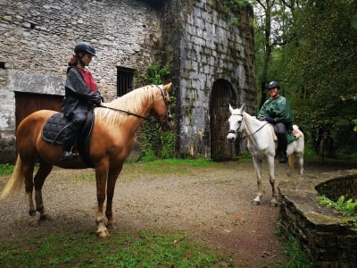 Agorregi Zalditokia - hipica in Zarautz