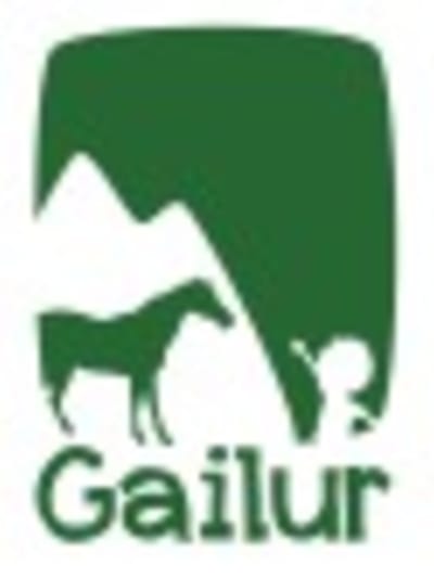 GAILUR ZALDIKETA ESKOLA - hipica in Lastur