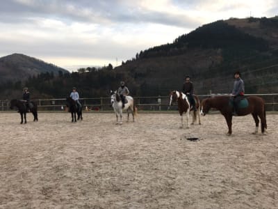 GoRandom - La Aventura Sorpresa - hipica in Bilbao