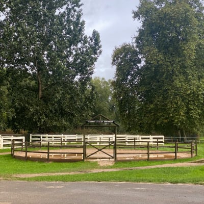 Yeguada Leticia Santander - hipica 