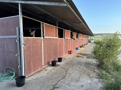 Yeguada Valdelamadre - hipica in Valoria la Buena