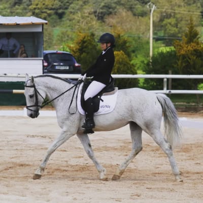 Hipica Irache - hipica in Ayegui