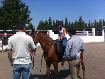 Centro Ecuestre San Miguel - hipica in Fuentes de Ebro