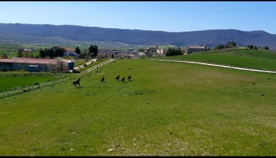 Hipica Elurzulo de Agurain - hipica in Agurain / Salvatierra