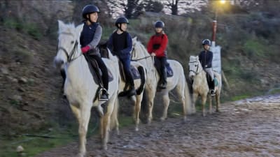 Real Sociedad Hipica de San Sebastian - hipica in Donostia / San Sebastián