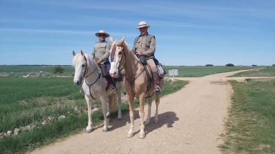 BURGOS PREMIUM HORSES S.L. - hipica in Tardajos
