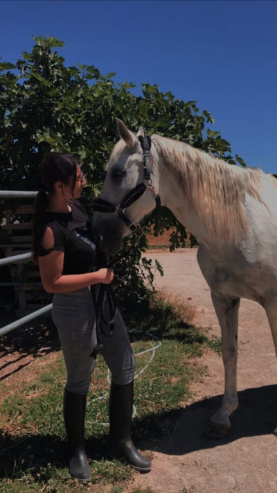 Yeguada San Antonio - hipica 