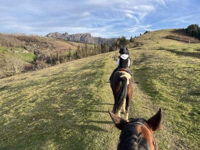 Hípica Gorrintzulo - hipica in Oiartzun