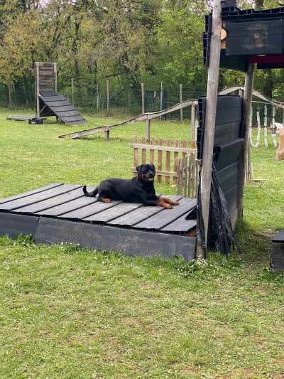 Club Txapeldun - hipica in Hermua