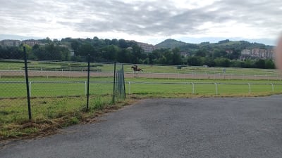 Hipodromo sarrera - hipica in Zubieta