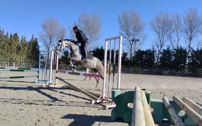 Centro Hípico los Guarales - hipica in Peñaflor de Gállego