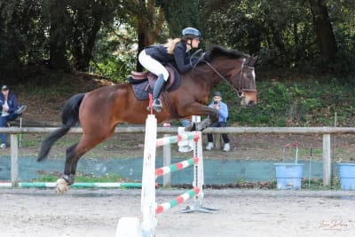 Riding Club Basque Coast - hipica in Anglet