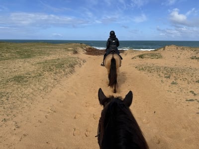 Stud Des Plages - hipica in Ondres