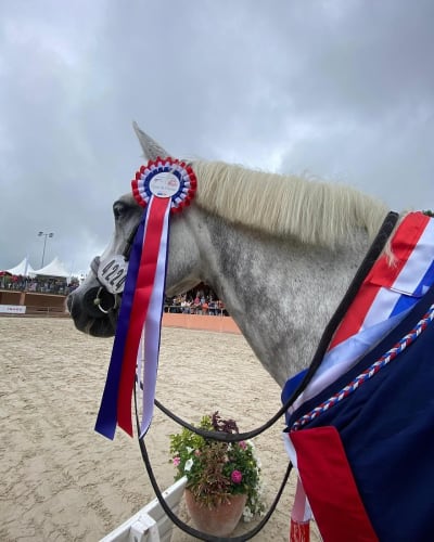 ECURIE LARRETCHEBERRIA - hipica in Arcangues