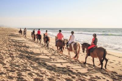 Equestrian Center L' Appaloosa - hipica in Capbreton