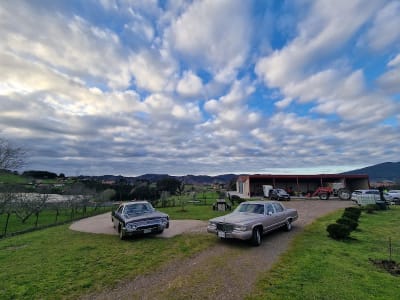 Yeguada Eleizalde - hipica in Gorordo