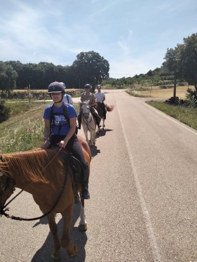 Apache Innovación - hipica in Zaragoza