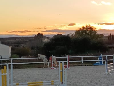 Centro Equilicua Equitación Deportiva - hipica in Alcañiz
