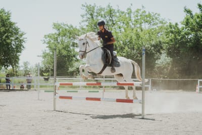 Hípica El Ventorrillo - hipica in Barbastro