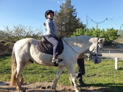 Club hípico Valle Viñuelas - hipica in San Sebastián de los Reyes
