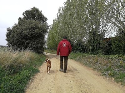 Residencia de animales Los Rosales - hipica in Chimillas
